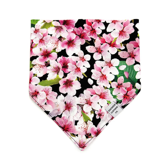 Cherry Blossom Black Dog Bandana