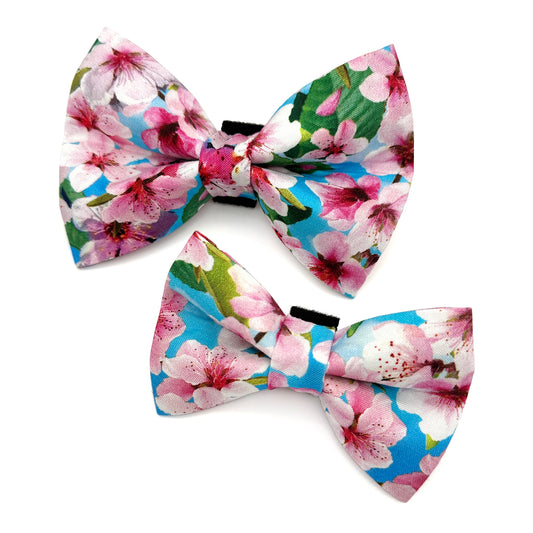 Cherry Blossom Blue Dog Bow Tie