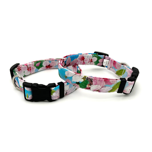 Cherry Blossom Dog Collar