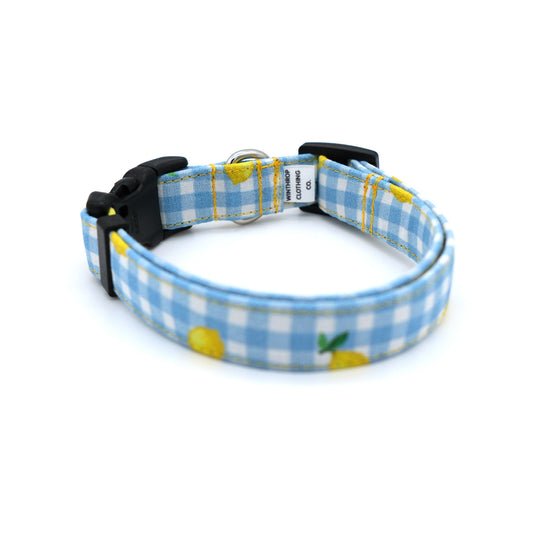 A light blue and white gingham dog collar with yellow lemon prints, featuring a black plastic buckle and a silver metal ring.
