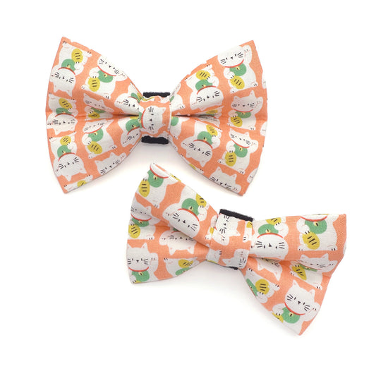 Lucky Cat Dog Bow Tie
