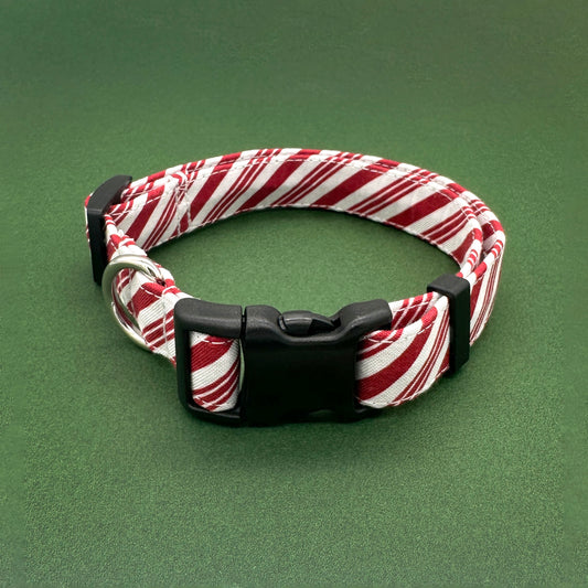 Peppermint Dog Collar