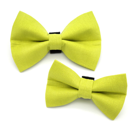 Sour Apple Dog Bow Tie