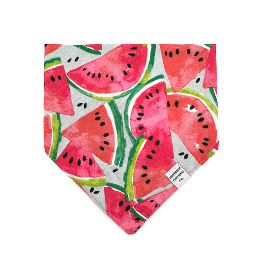 Watermelon Dog Bandana