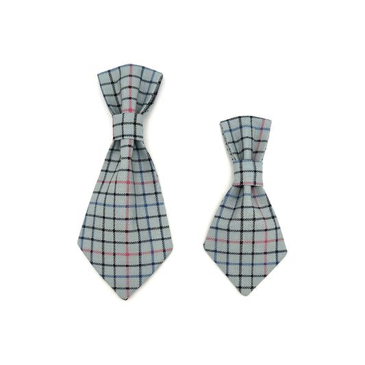 Winthrop Plaid Dog Tie