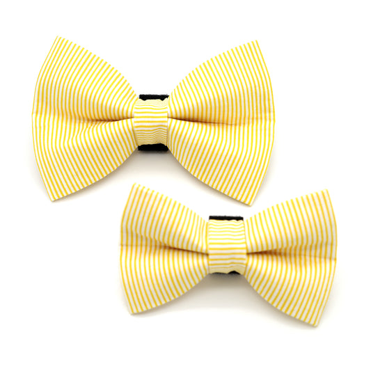 Yellow Pinstripe Dog Bow Tie