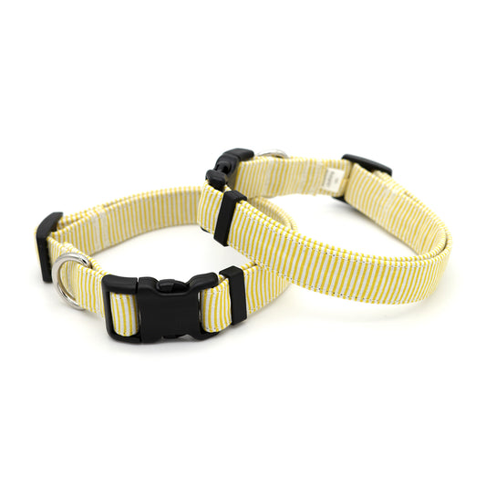 Yellow Pinstripe Dog Collar