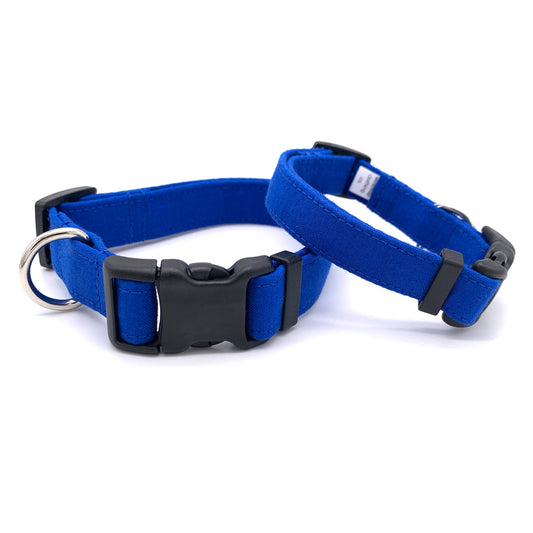 Blue Dog Collar
