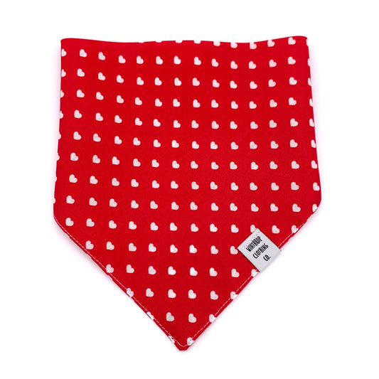 Valentine's Day Hearts Dog Bandana