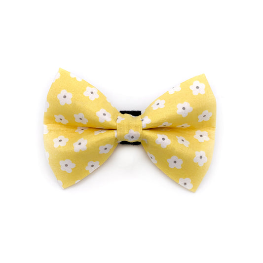 Daisy Dog Bow Tie
