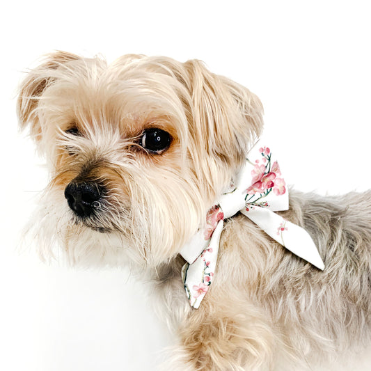 Cherry Blossom Dog Bow