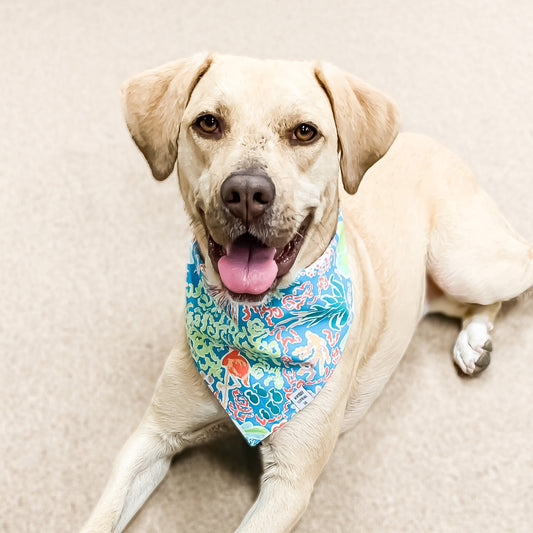 Tropical Breeze Dog Bandana