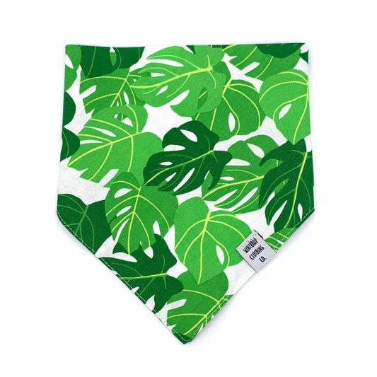 Monstera Dog Bandana