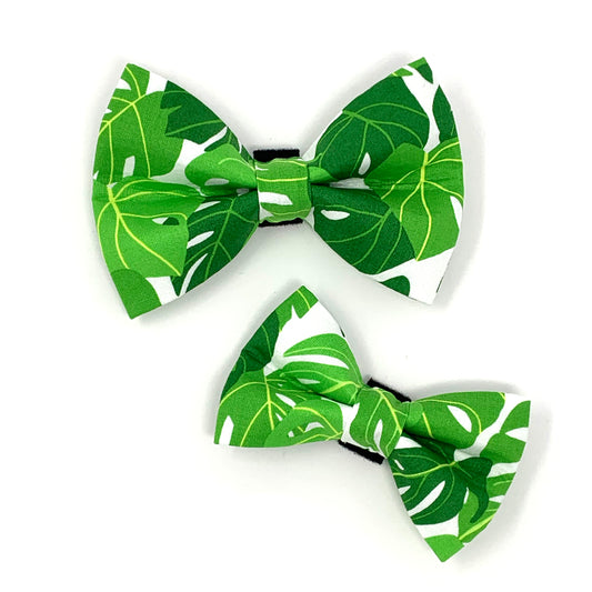 Monstera Dog Bow Tie