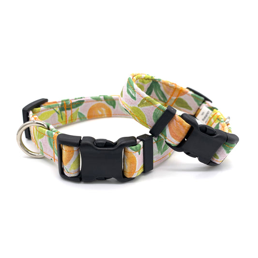 Clementine Orange Dog Collar