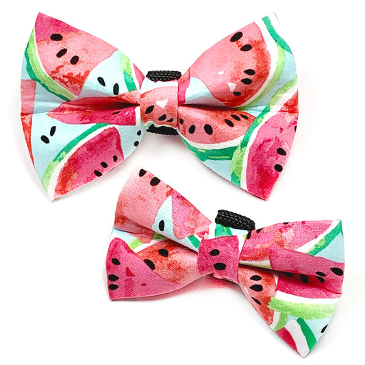 Watermelon Dog Bow Tie