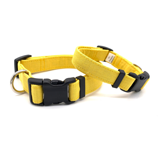 Yellow Dog Collar