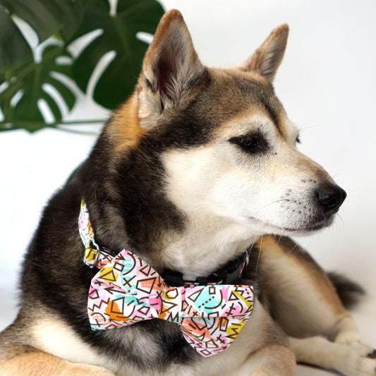 Scribbles Dog Bow Tie