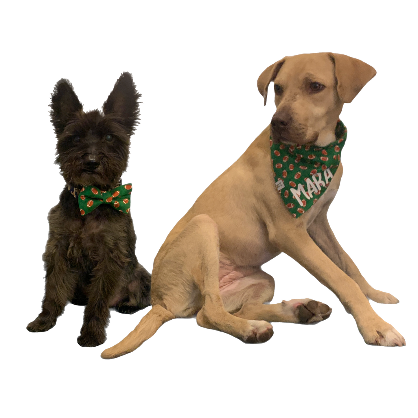 Football Dog Bandana