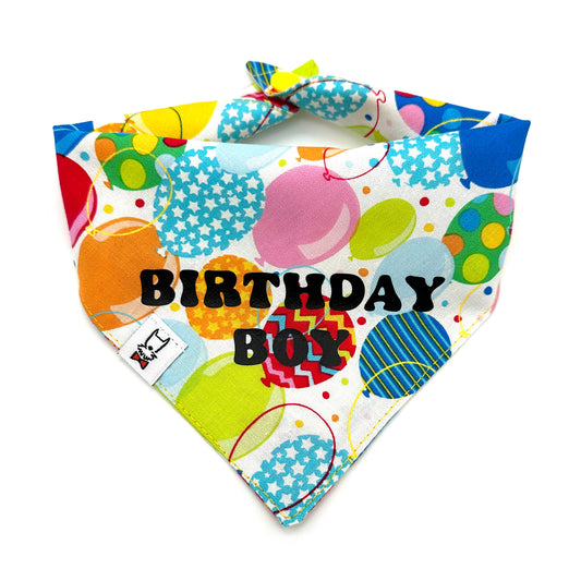 Birthday Boy Dog Bandana 