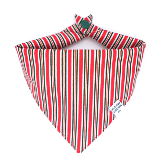 Candy Stripe Dog Bandana 