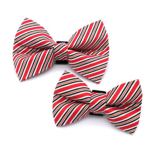 Candy Stripe Dog Bow Tie