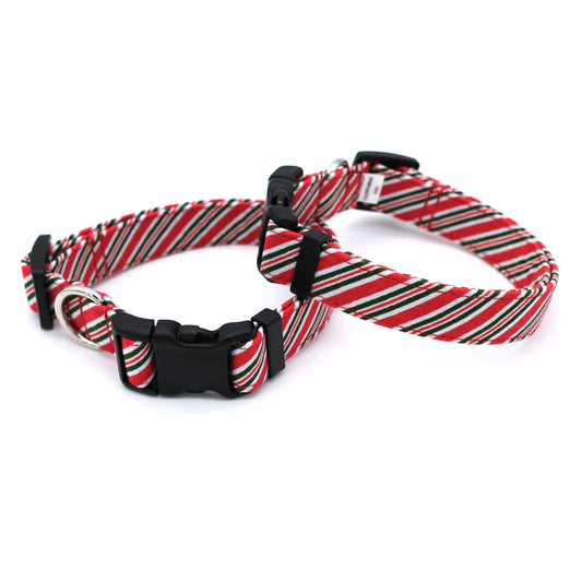 Candy Stripe Dog Collar 