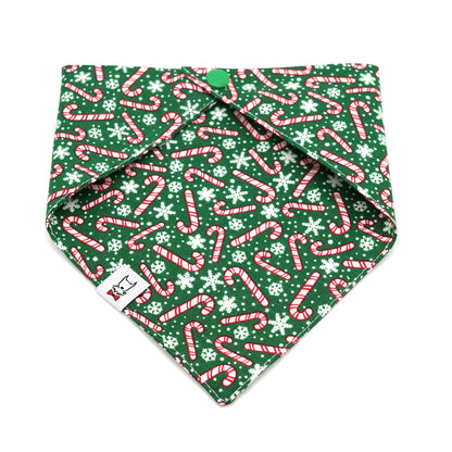 Candy Cane Dog Bandana 