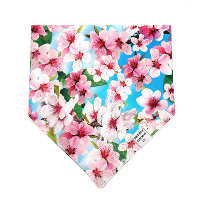 Cherry Blossom Blue Dog Bandana