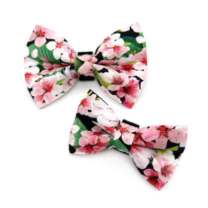 Cherry Blossom Black Dog Bow Tie