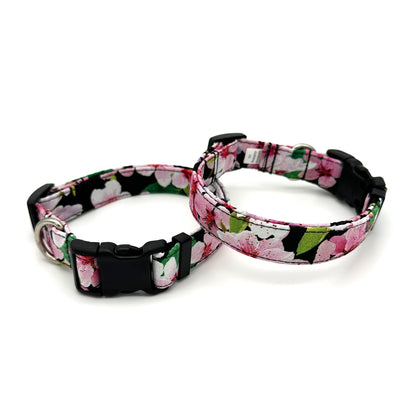 Cherry Blossom Black Dog Collar