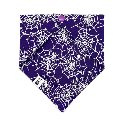Glow-in-the-Dark Spider Web Dog Bandana