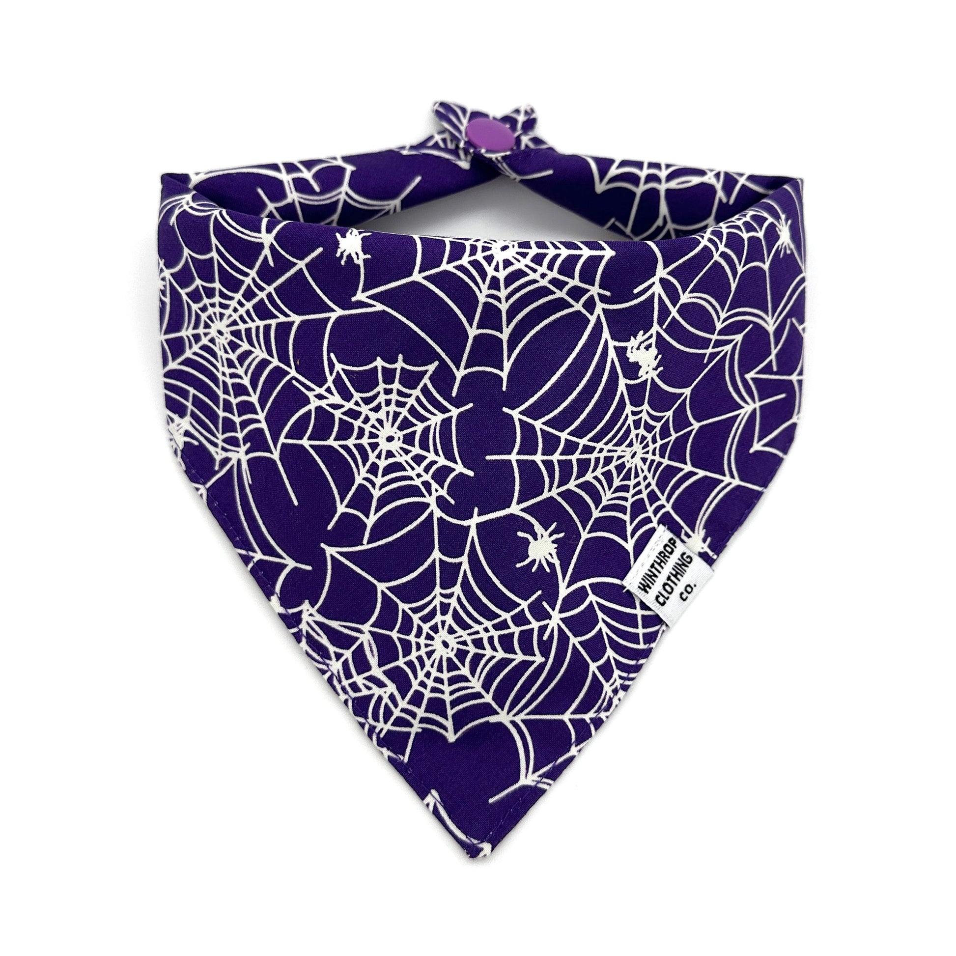 Glow-in-the-Dark Spider Web Dog Bandana