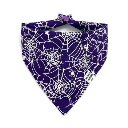 Glow-in-the-Dark Spider Web Dog Bandana
