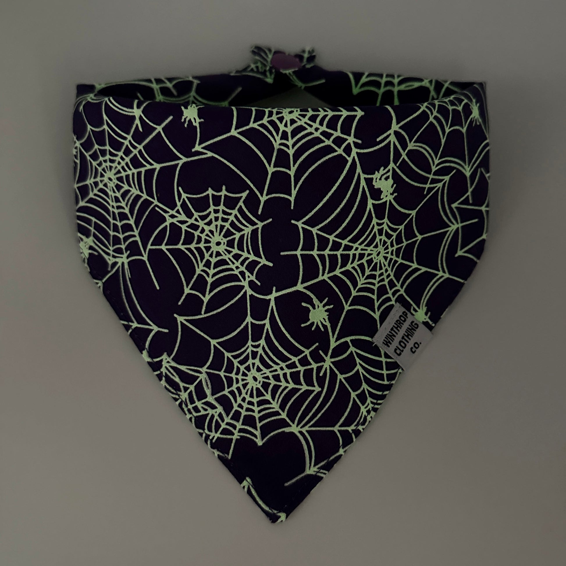 Glow-in-the-Dark Spider Web Dog Bandana