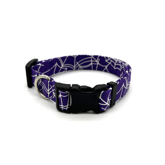 Glow-in-the-Dark Spider Web Dog Collar