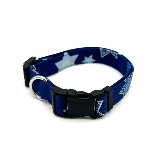 Hanukkah Stars Dog Collar 
