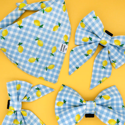 Lemon Blue Gingham Dog Accesories
