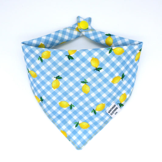 Lemon Blue Gingham Dog Bandana