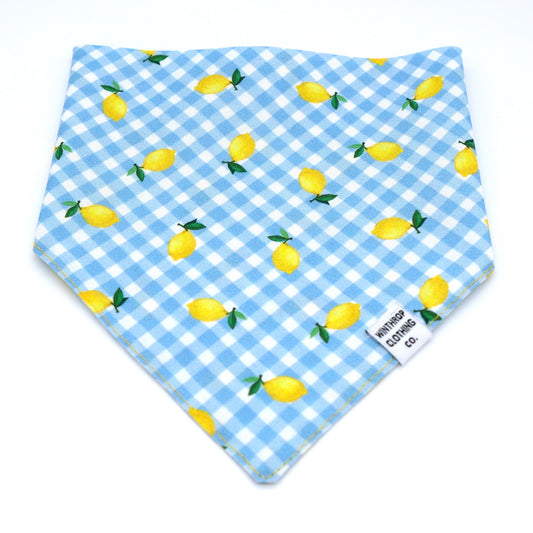 A triangular bandana bib featuring a light blue and white gingham check pattern with a scattered print of yellow lemons and green leaves. A small white fabric tag on the lower right corner reads 'winchester cotton co.