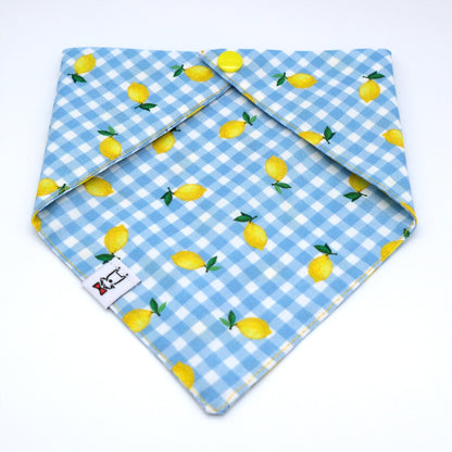 A light blue and white gingham bandana dog collar with a yellow lemon print, folded to show its interior and a small white brand tag.