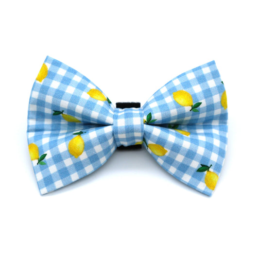 A light blue and white gingham bow tie featuring a yellow lemon print, displayed on a clean white background.