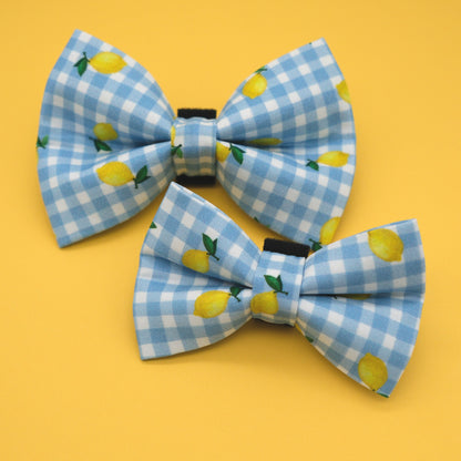 Lemon Blue Gingham Dog Bow Tie