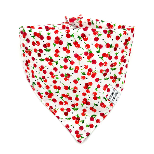 Cherry Dog Bandana 