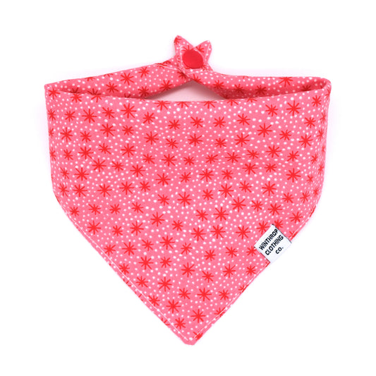 Pink and Red Retro Starburst Dog Bandana