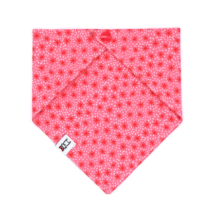 Pink and Red Retro Starburst Dog Bandana