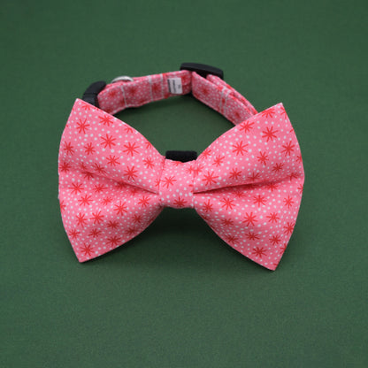 Pink and Red Retro Starburst Dog Bow Tie and Collar
