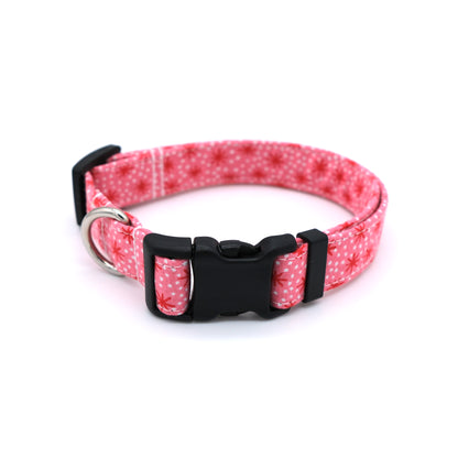 Pink and Red Retro Starburst Dog Collar