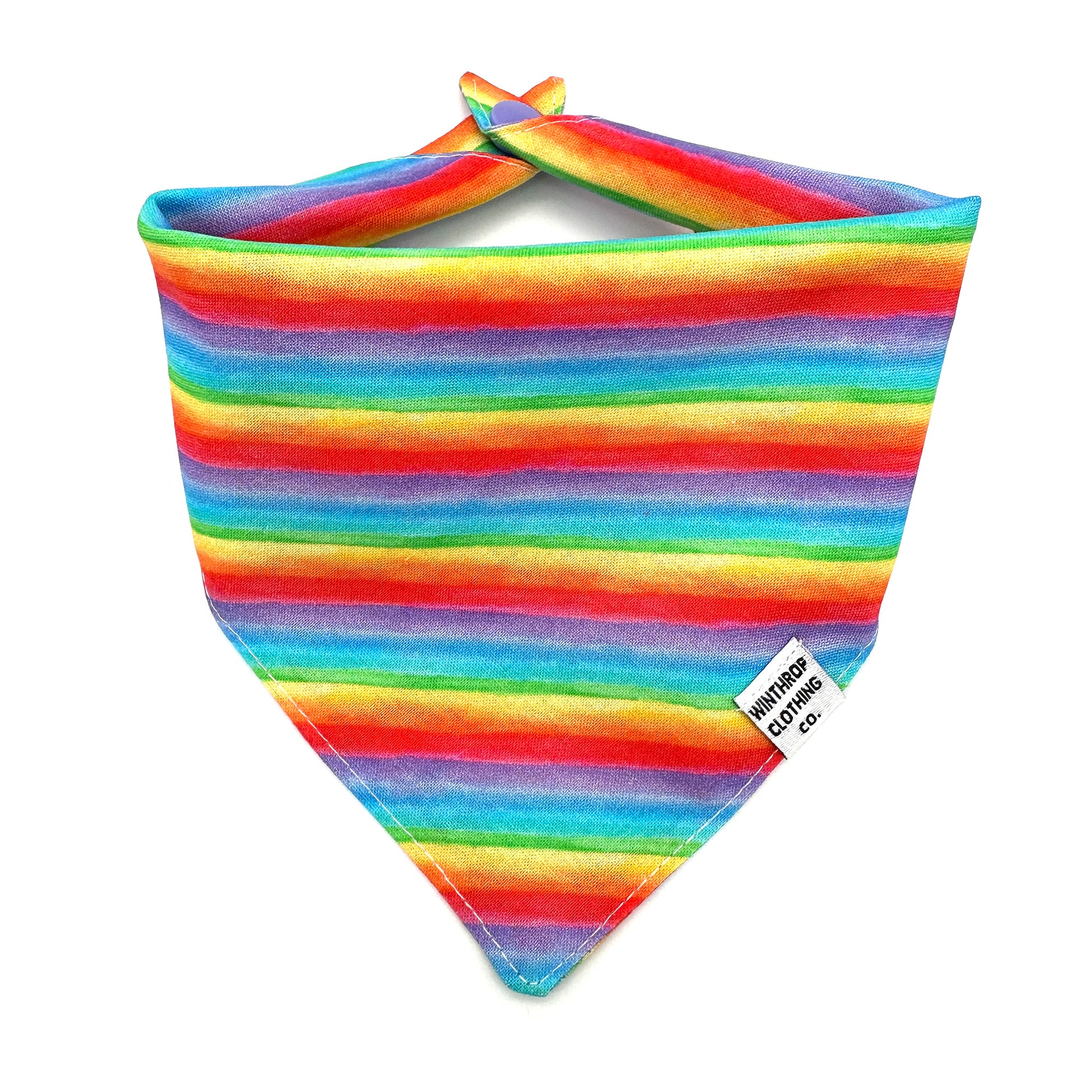 Rainbow Dog Bandana