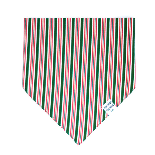 Spearmint Dog Bandana